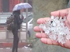 राज्यावर पुन्हा आस्मानी संकट; अवकाळीनं बळीराजाची चिंता वाढवली, कुठे पाऊस, तर काही भागांत गारपीट