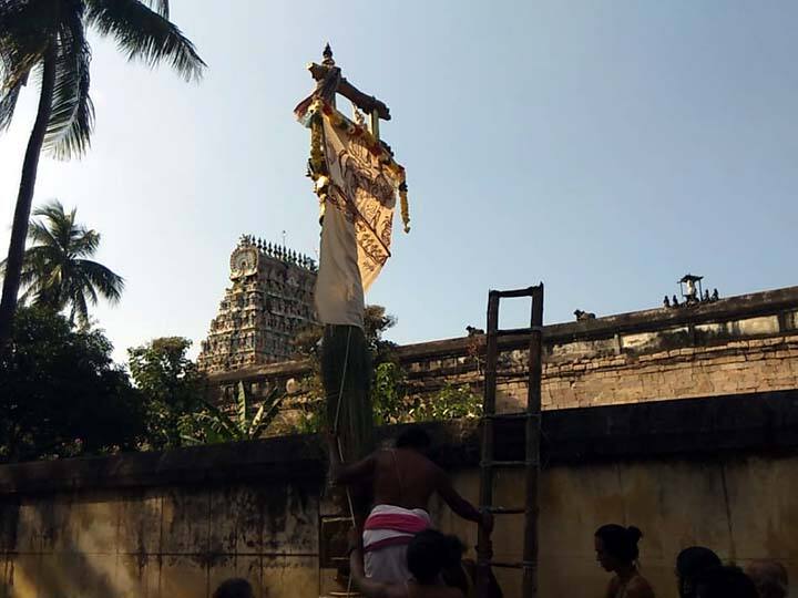 Thiruvidaimarudur Sri Mahalinga Swamy Temple Thaipusam Festival Flag hoisted திருவிடைமருதூர் ஸ்ரீ மகாலிங்க சுவாமி திருக்கோயில் தைப்பூச பெருவிழா கொடியேற்றம்