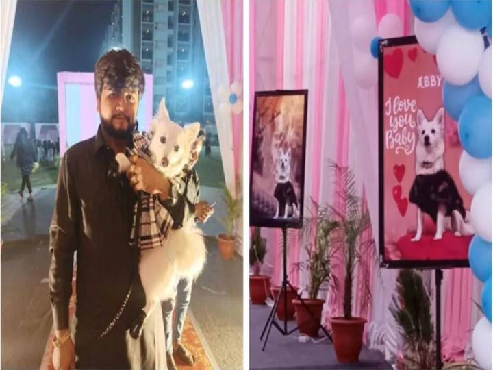 Trending News: कुत्ते के जन्मदिन पर मालिक ने दी 'ग्रांड पार्टी', खर्चा सुनकर उड़ जाएंगे होश The owner gave 'Grand Party' on the birthday of the pet dog, the senses will fly away after hearing the expenses Trending News: कुत्ते के जन्मदिन पर मालिक ने दी 'ग्रांड पार्टी', खर्चा सुनकर उड़ जाएंगे होश