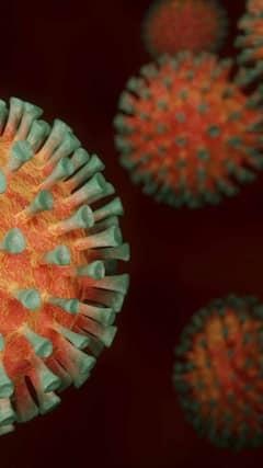 Covid-19 update: 24 घंटों में आये 1 लाख 68 हजार नए मामले, कल की तुलना में थोड़ी गिरावट