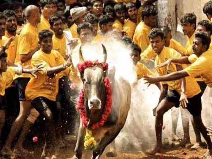 Jallikkattu : அடுத்த ஞாயிறும் முழு முடக்கம்..!  முழு முடக்கத்தன்று ஜல்லிக்கட்டு? அரசின் திட்டம் என்ன?