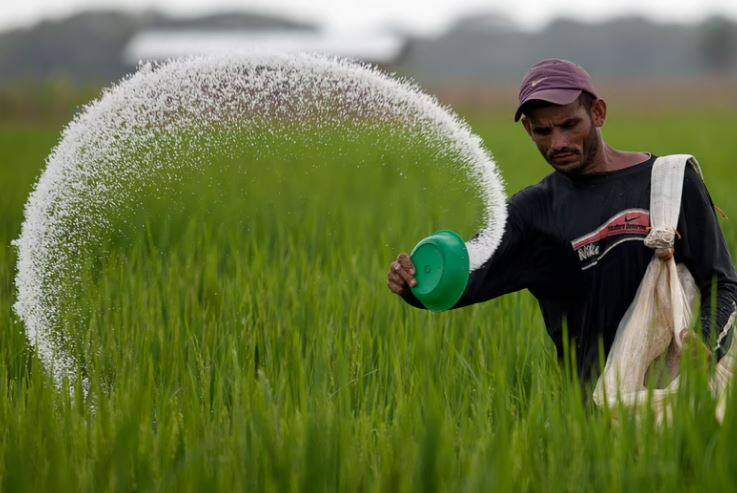 How to know your fertiliser is original or duplicate here is the trick Krishi Tips: અસલી-નકલી ફર્ટિલાઇઝરની કરો સરળતાથી ઓળખ, જાણો શું છે રીત