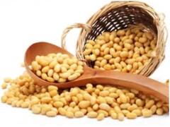 Omega Rich Food: રોગપ્રતિકારક શક્તિ અને હૃદયને મજબૂત બનાવે છે ઓમેગા ફેટી એસિડ, આ છે ઓમેગાના કુદરતી સ્ત્રોત