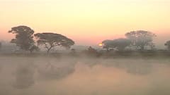 Nashik : नाशिकच्या निफाडमध्ये पारा 6 अंशांनी घसरला, 6.1 अंश तापमानाची नोंद ABP Majha