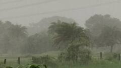 Maharashtra Rains :पुढील दोन दिवस मराठवाड्यासह विदर्भात यलो अलर्ट, पाऊस आणि गारपिटीमुळे पिकांना फटका