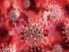 Maharashtra Corona  Update : राज्यात सोमवारी 33,470  रुग्णांची नोंद, तर आठ जणांचा मृत्यू