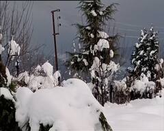 Kashmir & Himachal Pradesh Snowfall : যে দিকে তাকাবেন শুধুই তুষার-আস্তরণ, সিমলা থেকে দোদা, দেখুন বরফ-ছবি