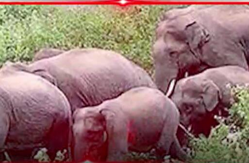 Morning Headlines ABP | 10th January 2022 | ABP Desam