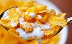 આપ ડાયટિંગ કરી રહ્યાં છો, તો નાસ્તા માટે આ છે બેસ્ટ ઓપ્શન, હેલ્થી હોવાની સાથે ભૂખ પણ સંતોષે છે