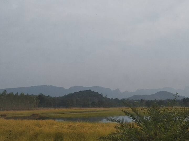 Chhattisgarh Weather Update Rain warning in next 48 hours in Chhattisgarh, know details ANN Chhattisgarh Weather Update: छत्तीसगढ़ में अगले 48 घंटे में बारिश की चेतवानी, जानें अपने जिले का हाल