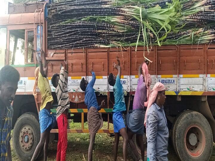 பொங்கல் நெருங்கும் சுழலில் லாரிகளில் கரும்பு ஏற்றுமதி தீவிரம்.