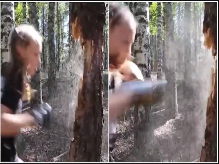 Viral: 12-year-old Russian girl knocking down tree with deadly punches Watch video Watch Viral Video: அது கையா இல்லை கோடாரியா - அசற வைக்கும் சிறுமியின் வைரல் வீடியோ! ஓல்டுதான்; ஆனால் பவர்...!
