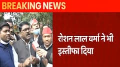 Swami Prasad Maurya के साथ-साथ BJP के तीन और मंत्री देंगे इस्तीफा? | Hindi News