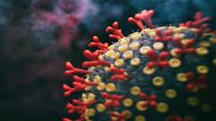 Coronavirus: গত ২৪ ঘণ্টায় কলকাতায় সাড়ে ৫ হাজারের বেশি মানুষ করোনা আক্রান্ত। Bangla News