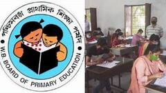 Primary TET Exam Result: প্রাথমিক টেটের ফলপ্রকাশ, পাসের হার ৫ শতাংশের বেশি| Bangla News