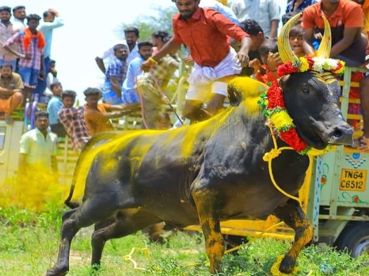 Alankanallur Jallikattu | உள்ளூர் பிரசித்தி பெற்ற ஜல்லிக்கட்டாக மாறும் உலக பிரசித்தி பெற்ற அலங்காநல்லூர் ஜல்லிக்கட்டு; பின்னணியில் கட்டுப்பாடுகள்!