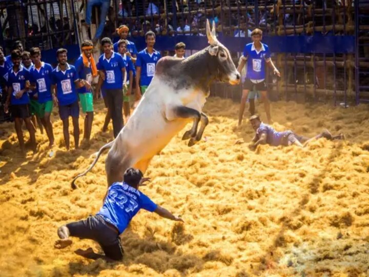 Jallikattu | 150 பேருக்கா ஜல்லிக்கட்டு? பேசாம நிறுத்திடுங்க.! - சீறும் எழுத்தாளர் வேல. ராமமூர்த்தி