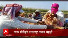 Sangli Carrot Farming : गाजर शेतीमुळे कवलापूर गावात समृद्धी ABP Majha