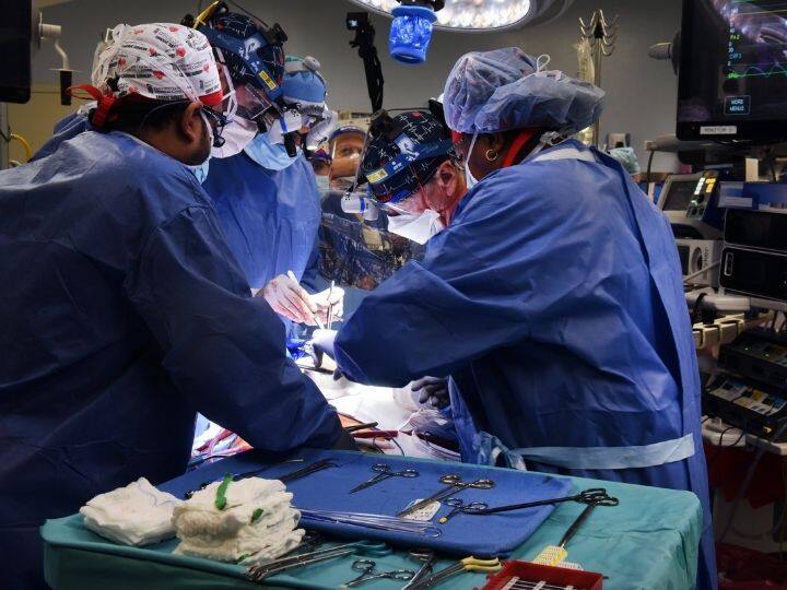 In A ‘Historic’ First, Doctors Perform Transplant Of Pig Heart Into Human. Patient Doing Well In A ‘Historic’ First, Doctors Perform Transplant Of Pig Heart Into Human. Patient Doing Well In A ‘Historic’ First, Doctors Perform Transplant Of Pig Heart Into Human. Patient Doing Well