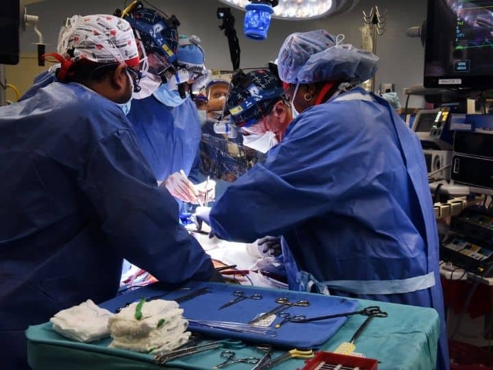 In A ‘Historic’ First, Doctors Perform Transplant Of Pig Heart Into Human. Patient Doing Well In A ‘Historic’ First, Doctors Perform Transplant Of Pig Heart Into Human. Patient Doing Well