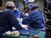 In A ‘Historic’ First, Doctors Perform Transplant Of Pig Heart Into Human. Patient Doing Well
