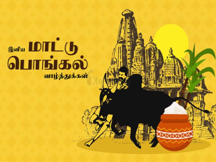 Pongal 2022 Wishes: தமிழில் பொங்கல் திருநாள் வாழ்த்துகள்… ஃபேஸ்புக், வாட்ஸ்ஆப் ஸ்டேட்டஸ் வாழ்த்து அட்டைகள்!