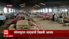 Solapur : सोलापुरात कांद्याची विक्रमी आवक, काल दिवस भारत एक हजार ट्रक कांदा दाखल