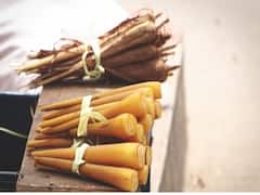 Panang Kilangu Benefits: தமிழர் பண்டிகை ஸ்பெஷல் பனங்கிழங்கும் அதன் மருத்துவக்குணங்களும் இது தான்!