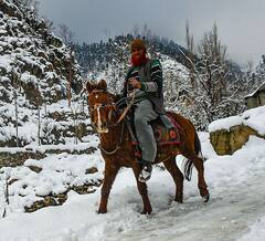 उत्तर भारतात थंडीची लाट!