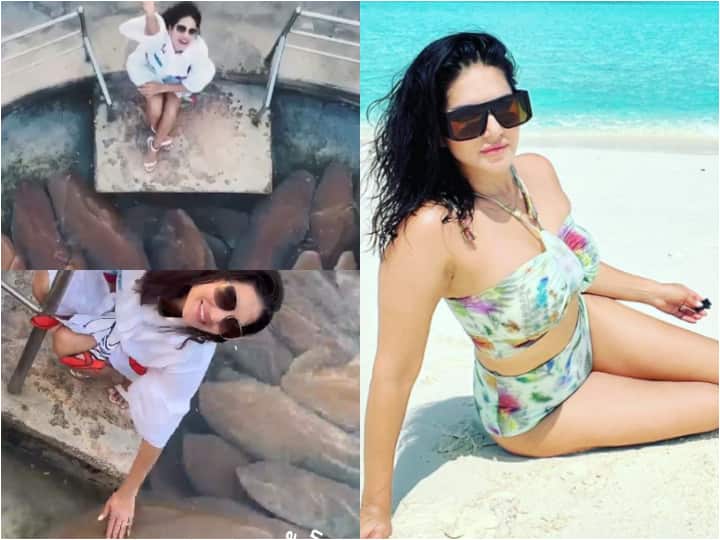 Sunny Leone Enjoying In Maldives With Sharks- See Pics & Video Sunny Leone Enjoying In Maldives With Sharks- See Pics & Video