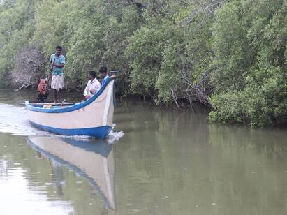 muthupettai alayathi forest: Ban on tourists முத்துப்பேட்டை அலையாத்திகாடுக்கு சுற்றுலா செல்ல தடை வனத்துறை உத்தரவு!