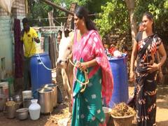 pongal 2022 | திருநங்கைகள் எல்லா துறைகளிலும் இருக்க வேண்டும் -  ஜல்லிக்கட்டு காளைகளை வளர்க்கும் திருநங்கை நெகிழ்ச்சி பேட்டி