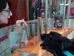 Viral Photo: सिनेमाघर में पहुंचकर टिकट मांगने लगा कुत्ता, सोशल मीडिया पर फोटो वायरल