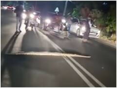 Watch: अचानक सड़क पर आ गया विशालकाय अजगर, लोगों ने वाहन रोक कर की उसकी मदद