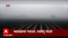 Mahabaleshwar Winter : महाबळेश्वर गारठलं, वेण्णा लेक परिसरात मध्यरात्री पारा शून्य अंशावर