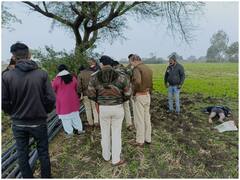 Jabalpur Crime: जबलपुर के पनागर में सिर कटी लाश मिलने से हड़कंप, डेढ़ महीने में ऐसी दूसरी घटना