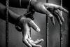 Tamil Nadu Police On Lookout For Idol Racket After Seizing Idols Worth Rs 40 Cr From Kashmiri Bizman In State
