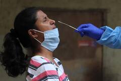 Lateral Flow Tests Can Detect Covid From Day 3 To 8, For RT-PCR It's Upto 20 Days: ICMR DG