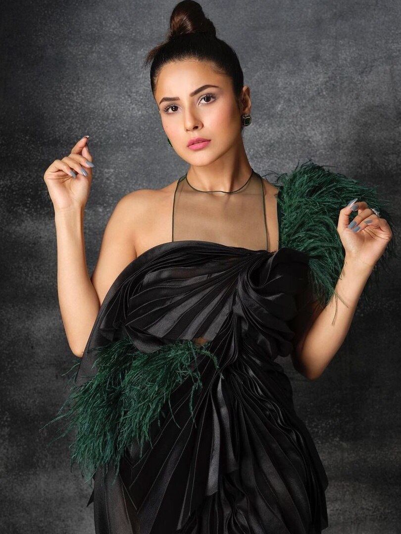 Shehnaaz Gill Looks Lovely As Poses for Dabboo Ratnani In LBD