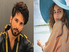 Shahid Kapoor Comment: शाहिद कपूर ने Ananya Panday की फोटो पर किया ये कमेंट, फैंस ने पूछ लिया Ishaan Khattar की लव लाइफ से जुड़ा सवाल