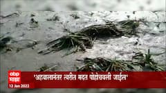Dadasaheb Bhuse on Farmers : अहवाल येताच नुकसानग्रस्त शेतकऱ्यांना तात्काळ मदत पोहोचविली जाणार