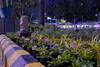 Ahmedabad International Airport Is Increasing Green Cover To Minimise Carbon Footprints