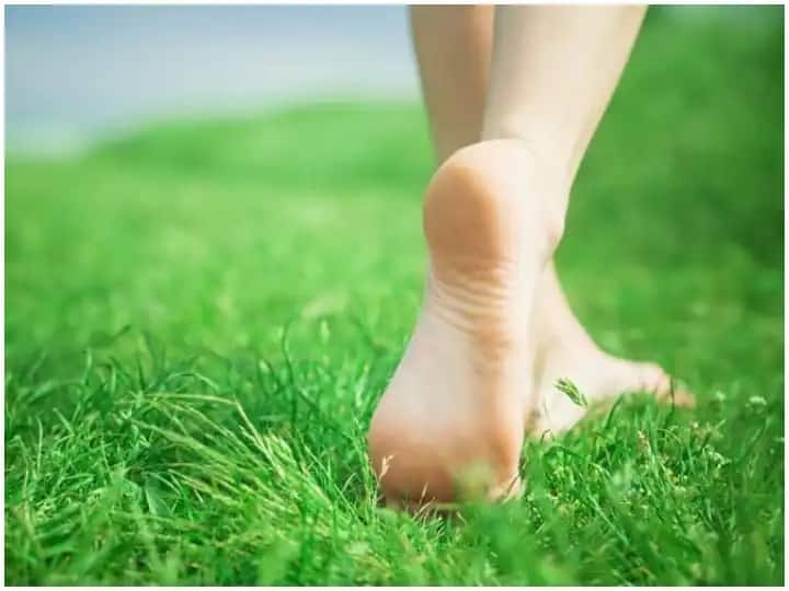 Benefits of walking barefoot on grass for 20 minutes daily and benefits of walking Health Tips: રોજ સવારે 20 મિનિટ ખુલ્લા પગે ઘાસ પર ચાલવાના છે અદભૂત ફાયદા,  ડિપ્રેશન સહિતની આ સમસ્યા રહે છે દૂર