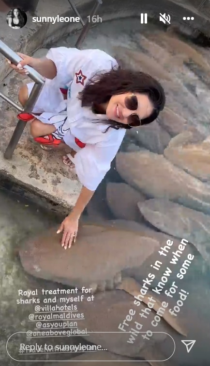 Sunny Leone Enjoying In Maldives With Sharks- See Pics & Video