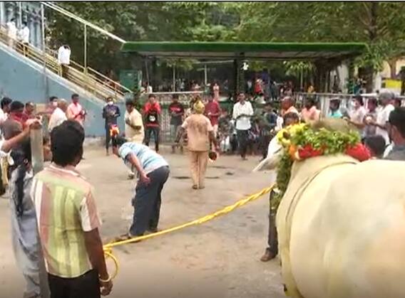 Simhachalam Vaikunta Darshan: కొవిడ్ నిబంధనలు పాటిస్తూనే సింహాద్రి అప్పన్న వైకుంఠ దర్శనం