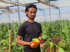 इंदौर: IT प्रोफेशनल ने 9 लाख का पैकेज छोड़ शुरू की खेती, अब कमाई जानकर रह जाएंगे हैरान!