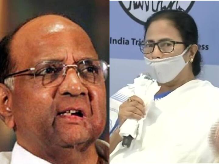 NCP and TMC to contest UP Election in alliance with Samajwadi Party UP Election 2022: यूपी चुनाव में अखिलेश की सपा के साथ मैदान में उतरेगी शरद पवार और ममता बनर्जी की पार्टी