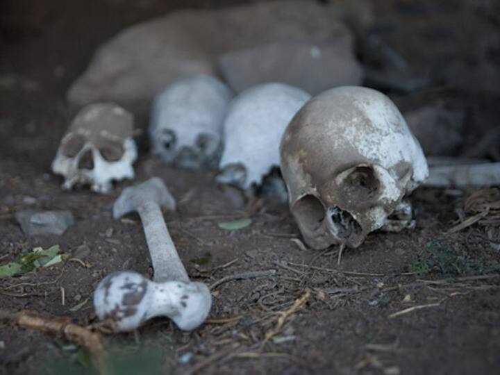Skulls, Bones Of Fetuses Recovered From Premises Of Pvt Hospital In Maharashtra’ Wardha Skulls, Bones Of Fetuses Recovered From Premises Of Pvt Hospital In Maharashtra’ Wardha