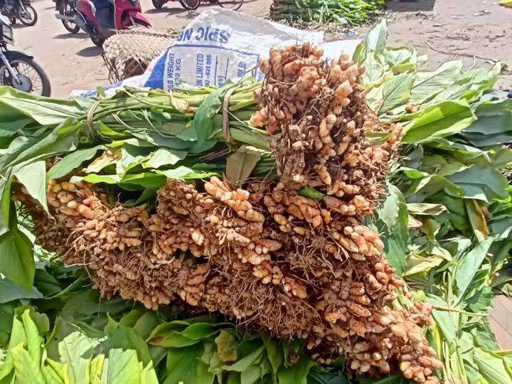 நாளை பொங்கலோ பொங்கல்...! - பானையை அலங்கரிக்கும் மஞ்சள் கிழங்கு விற்பனை மும்முரம்