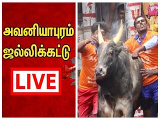 Watch Avaniyapuram Jallikattu LIVE: அவனியாபுரம் ஜல்லிக்கட்டு நேரலை: இடைவெளி இல்லாமல் HD தரத்தில் ABP நாடு Live-இல் பார்க்கலாம்....